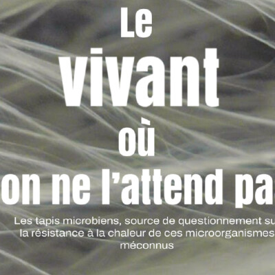 Microcosme : Le vivant où on ne l'attend pas... cover