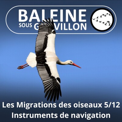 S04E21 Les Migrations des Oiseaux 5/12 : Cabine de pilotage et instruments de navigation cover