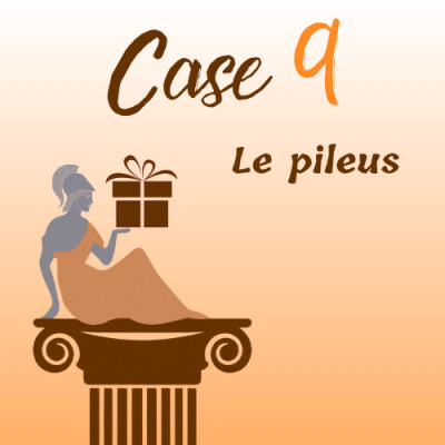 Calendrier de l’Avent 2025 - Case 9 : le pileus cover