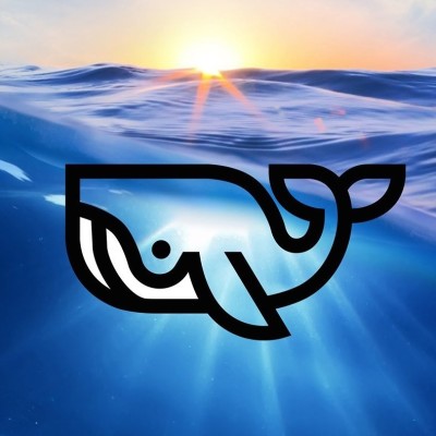 S02E131 Baleine sous Gravillon 1/2 : Naissance et Coulisses (Marc Mortelmans) cover