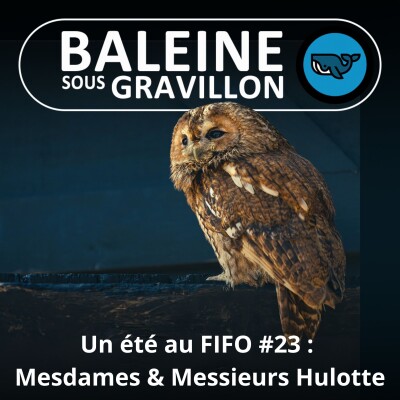 BEST OF D'ÉTÉ #23 : Hulotte mâle et femelle, des cris très différents (Bruno Ferré, Bretagne Vivante) cover