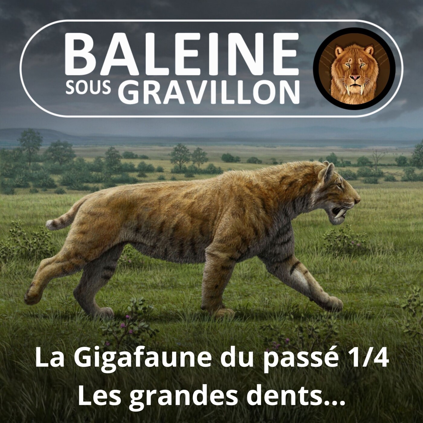 BEST OF D'ÉTÉ #25 La gigafaune du passé 1/4 : Les grandes dents (Pierre-Olivier Antoine)