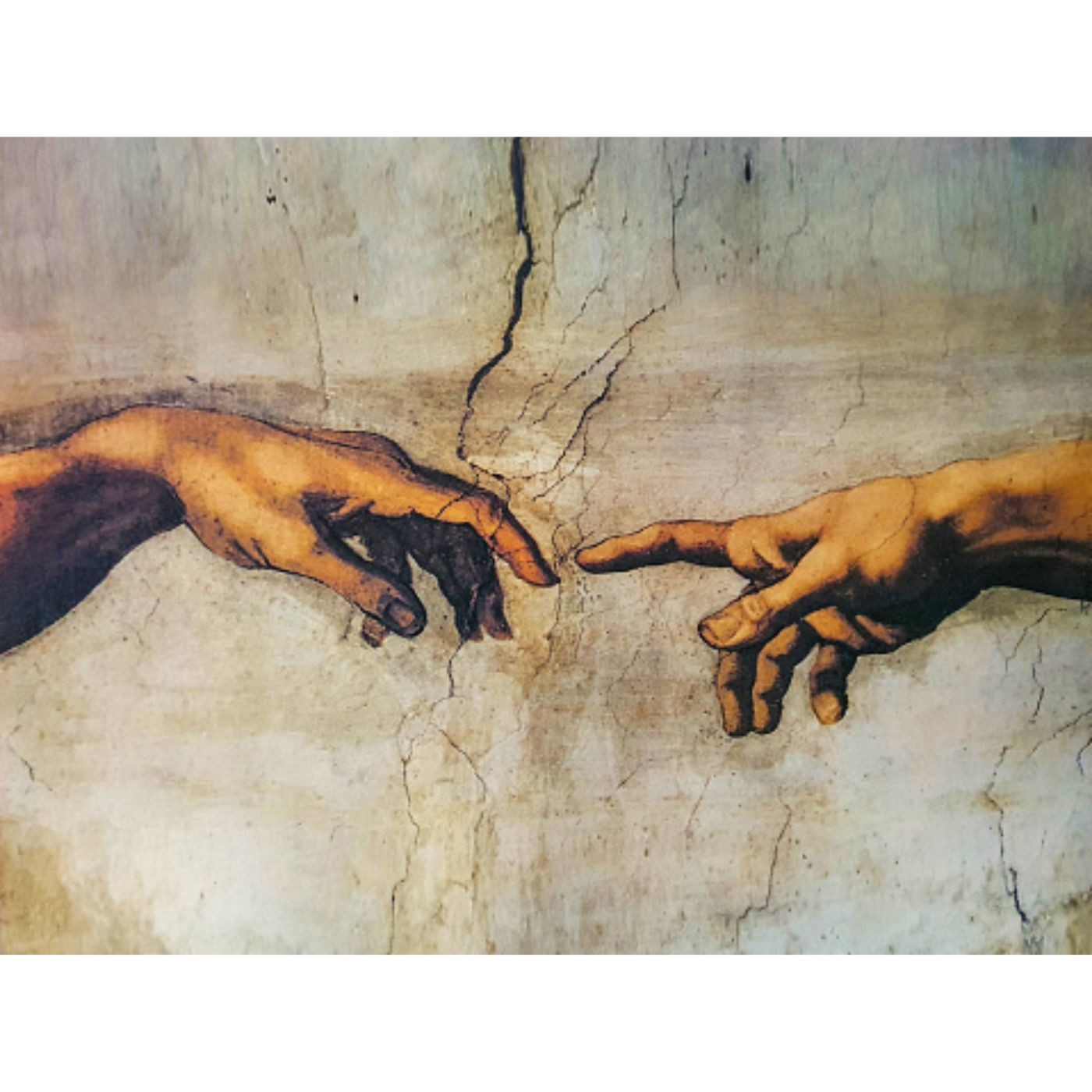 Jeudi 27e Semaine du Temps Ordinaire - Saint Bruno