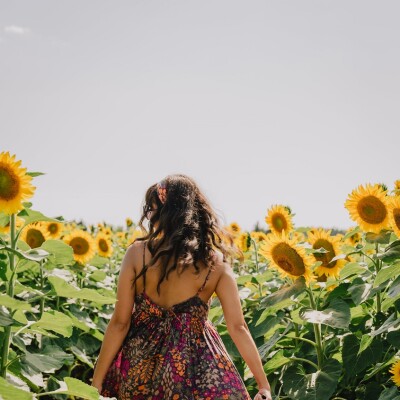 S3 - Présentation de la saison 3 cover