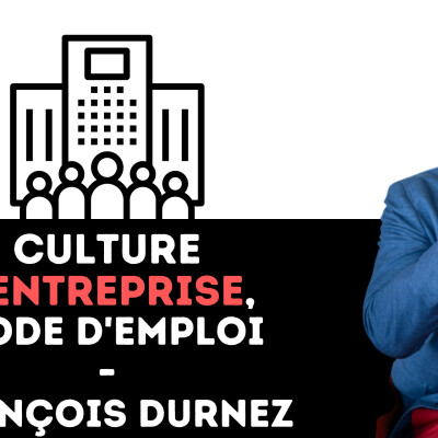 324 - Culture d'entreprise, mode d'emploi cover