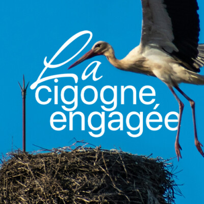 La cigogne engagée : rencontre de Line, chroniqueuse animaliste cover
