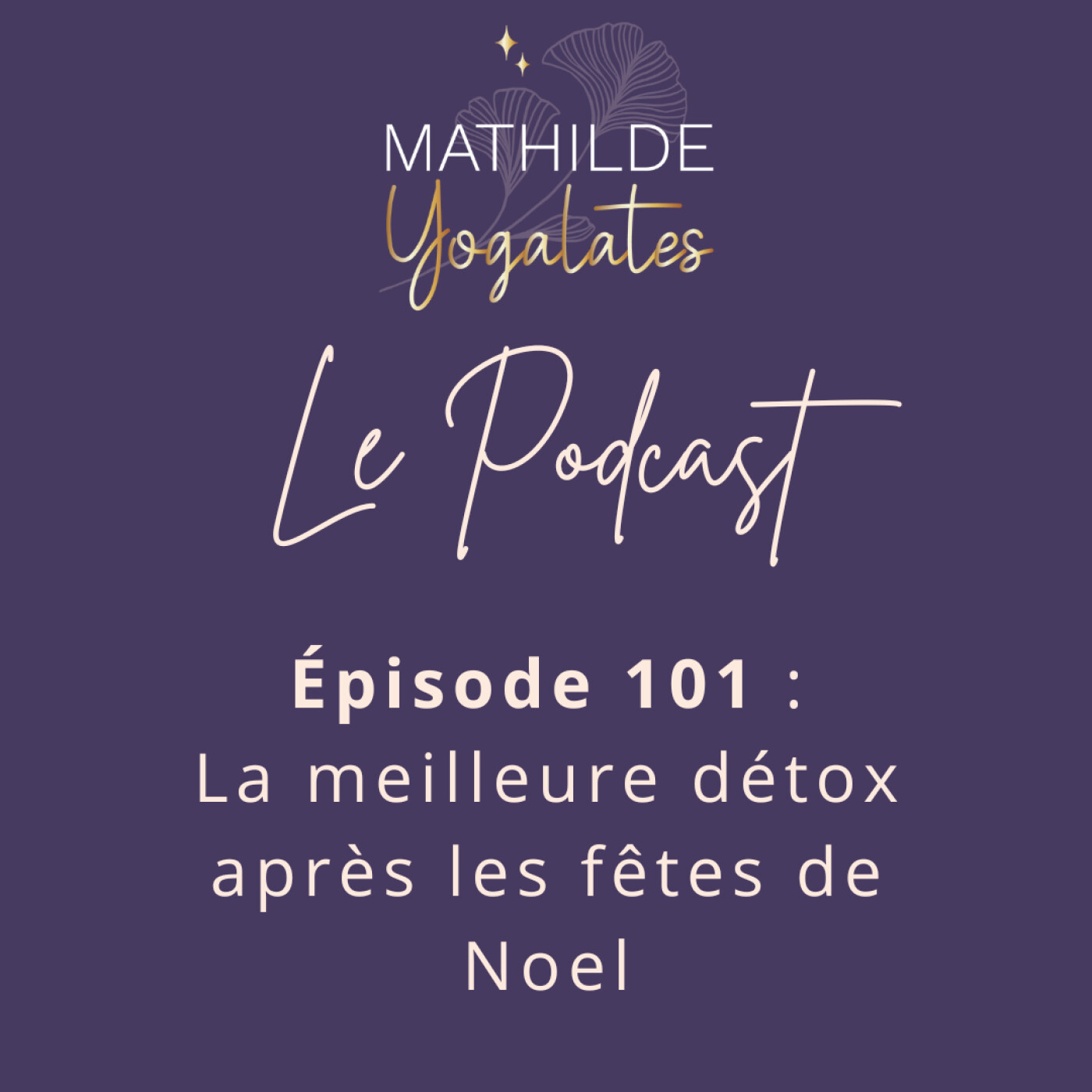 101 : La meilleure détox ayurvédique après les fêtes de Noel