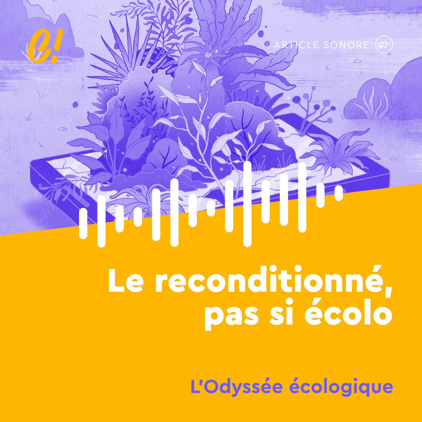 Les articles sonores