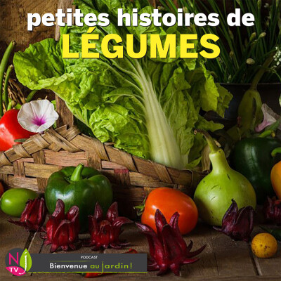HISTOIRES BOTANIQUES: PETITES HISTOIRES DE LÉGUMES cover