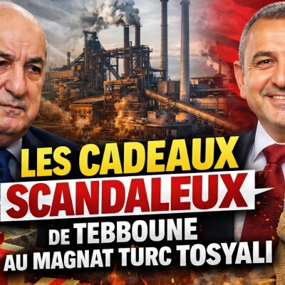 Révélations sur lee cadeaux scandaleux de Tebboune au magnat turc Tosyali cover