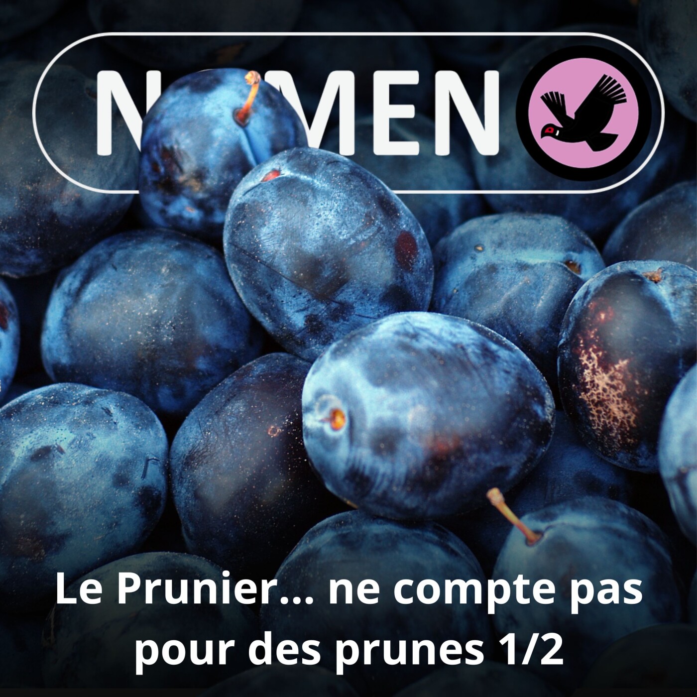 S05E20 Le Prunier... ne compte pas pour des prunes (1/2)