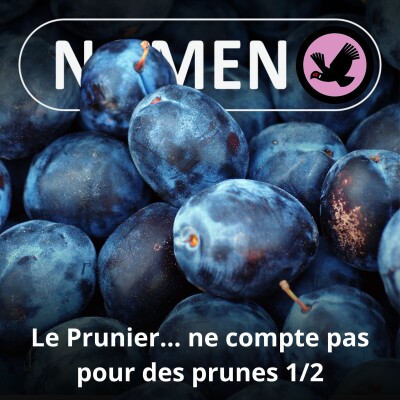 S05E20 Le Prunier... ne compte pas pour des prunes (1/2) cover