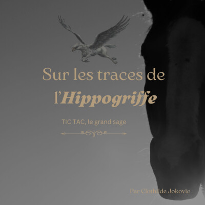 Episode 1. Tic Tac, le grand sage cover