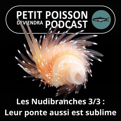 S03E07 Les Nudibranches 3/3 : Leur ponte aussi est sublime cover