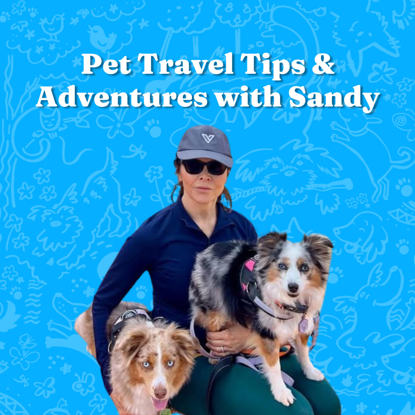 Pet Travel Tips & Adventures with Sandy episode artwork