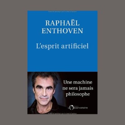 Raphaël Enthoven - L'esprit artificiel cover