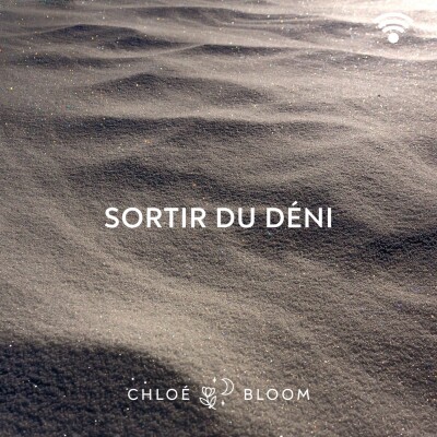 Sortir du déni cover