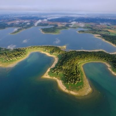 Découvrez la Forêt d'Orient ! cover
