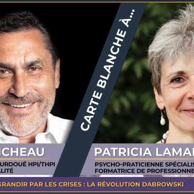Fabrice MICHEAU : carte Blanche à...PATRICIA LAMARE cover