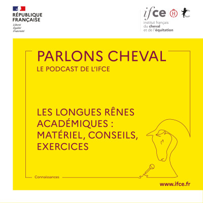 Les longues rênes académiques : matériel, conseils, exercices - Laurence Sautet cover