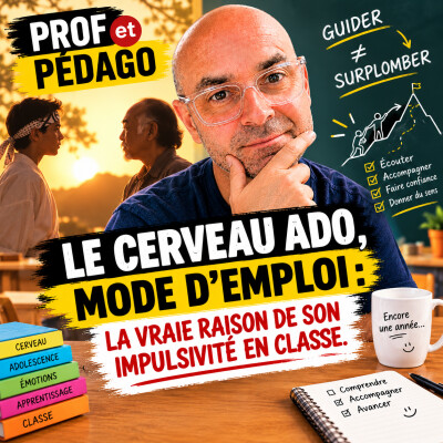 Posture enseignante : ce que Karaté Kid t'apprend sur l'art de guider tes élèves cover