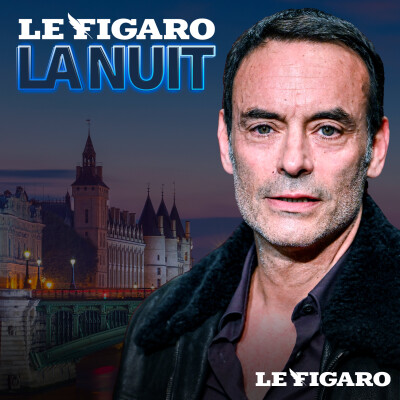 Un soir avec Anthony Delon : sa première grande interview depuis la mort de son père cover