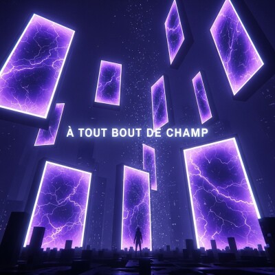 À tout bout de champ – L’origine des allers‑retours au cœur des mots cover