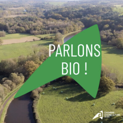 Bale grazing : 5 ans de recul avec Florian Le Moigne cover