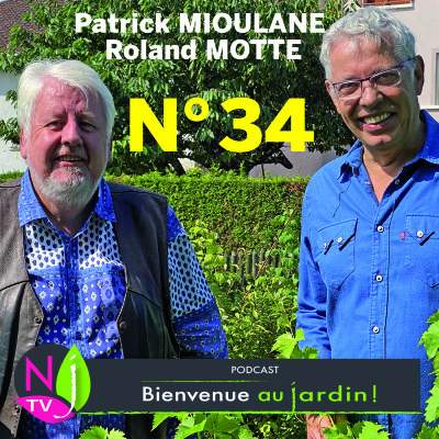 MISSION #34 du 4 DECEMRB 2021- L'INTEGRALE cover