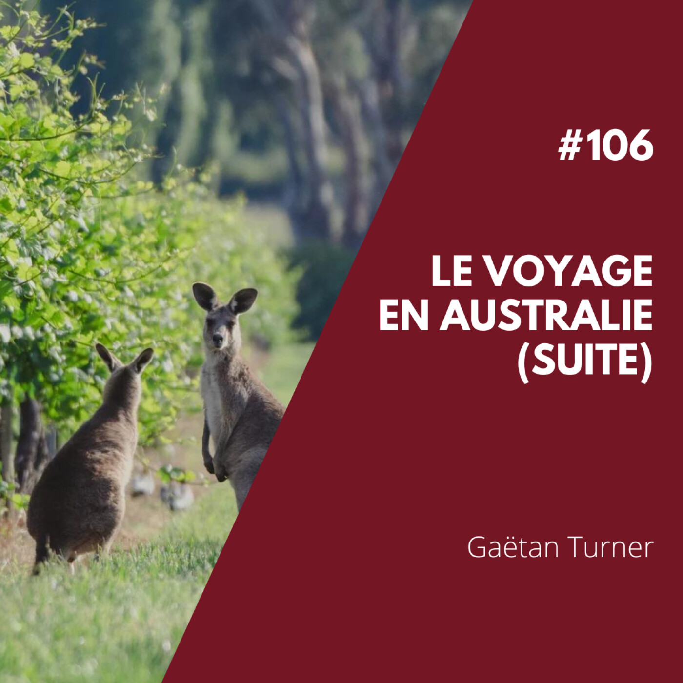 #106 - Le Voyage En Australie - 2ème Partie