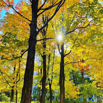 L’été s’accroche… l’automne pointe le bout de son nez ! cover