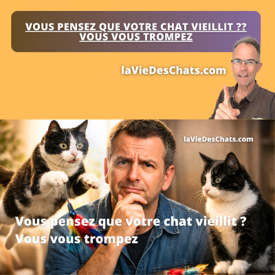 VOUS PENSEZ QUE VOTRE CHAT VIEILLIT ?? VOUS VOUS TROMPEZ cover