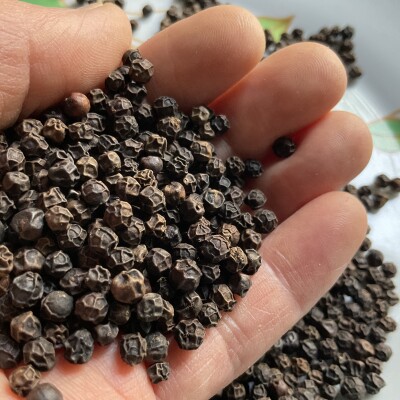 Sauce poivrade cover