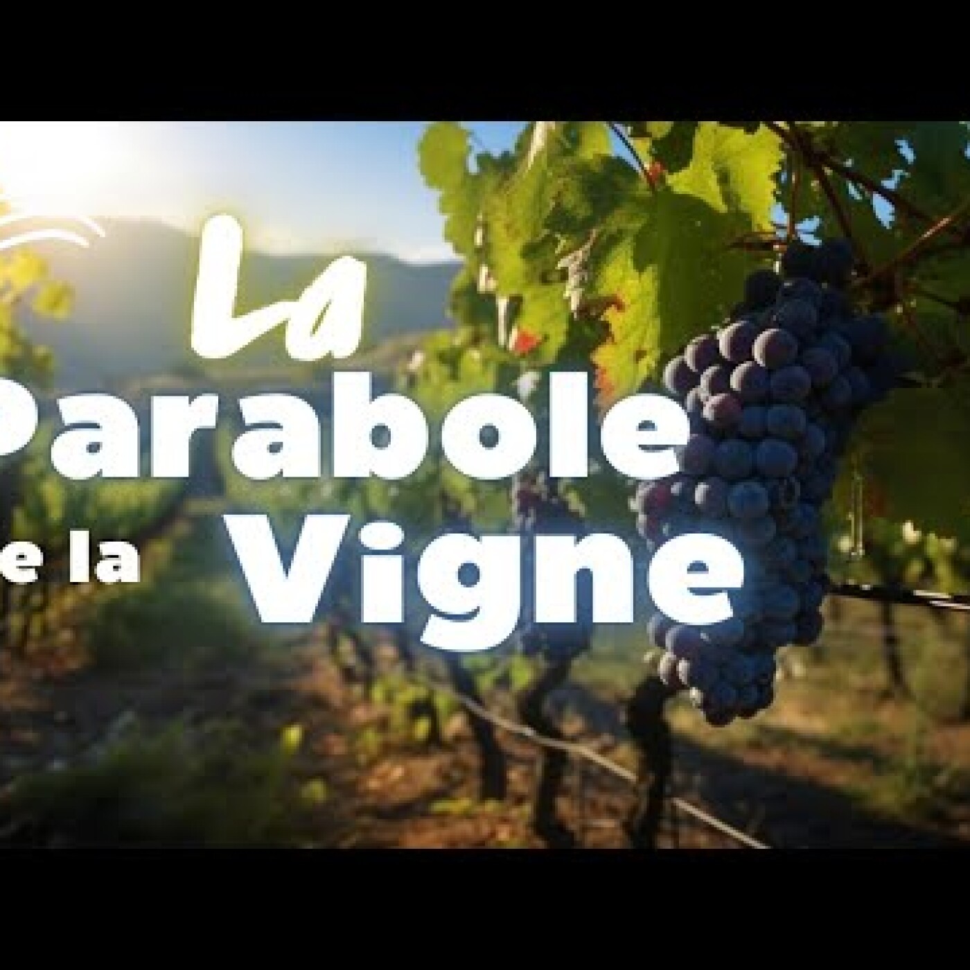 Evangile du jour | Parole du jour