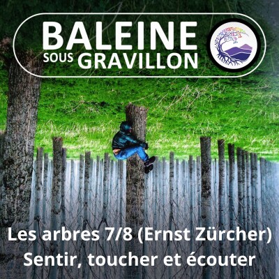 S03E86 Les arbres 7/8 : Sentir, toucher, écouter et... grimper un arbre (Ernst Zürcher) cover
