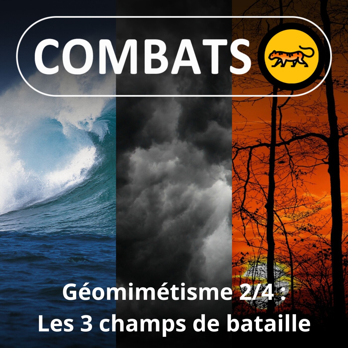 S02E22 Géomimétisme 2/4 : L'eau, la météo et le carbone, les 3 champs de bataille