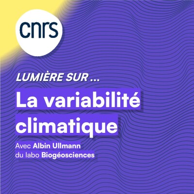 Lumière sur... La variabilité climatique cover