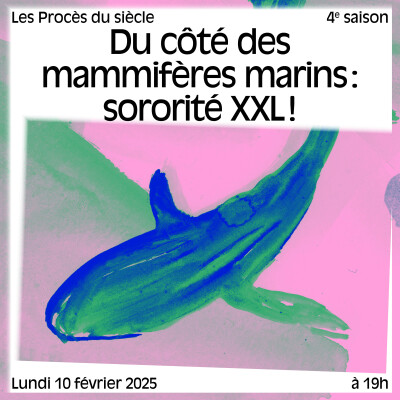 Du côté des mammifères marins : sororité XXL ! cover