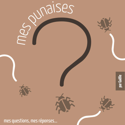 E18 le 'plastique' cover