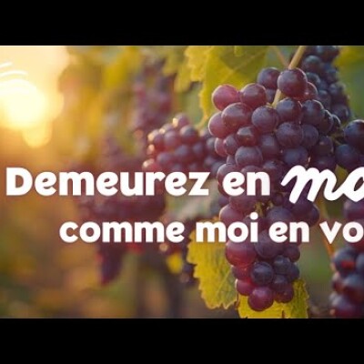 Parole et Évangile du jour | Mercredi 21 mai • beaucoup de fruit cover