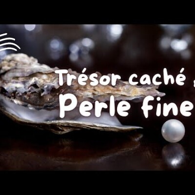 Parole et Évangile du jour | Mercredi 30 juillet • Aujourd'hui, vous aurez la lumière sur vous cover