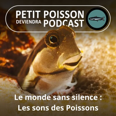 Show cover