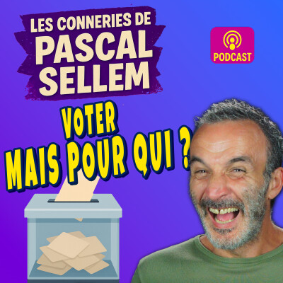 Voter. Oui, mais pour qui ? cover