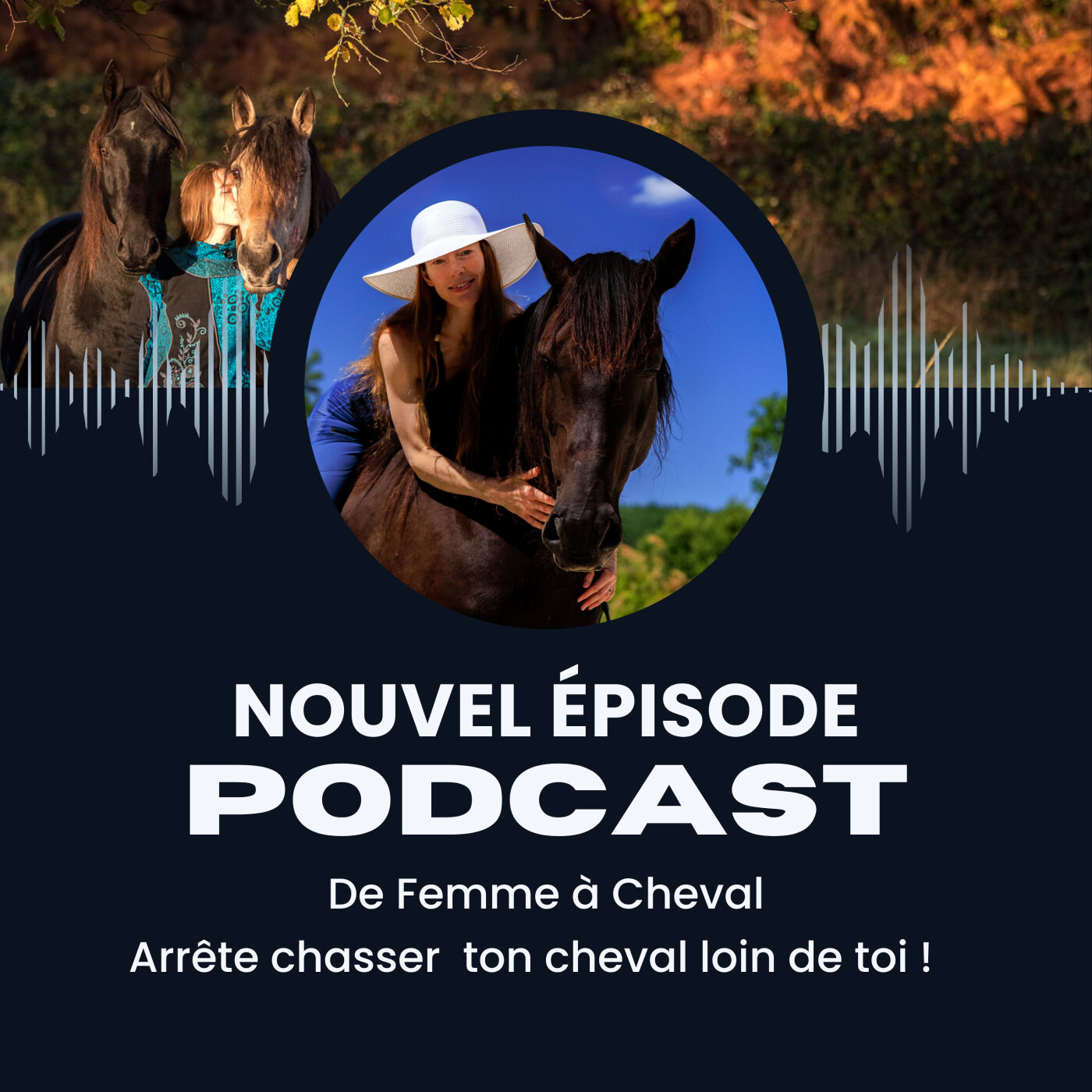 #17 - Brève de stage : Arrête d'éloigner ton cheval de toi ! episode artwork