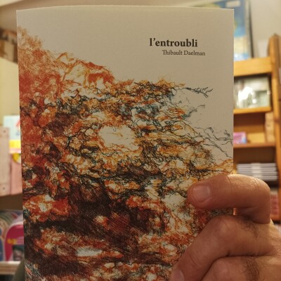 La page des libraires - Épisode 3 - L'ENTROUBLI - Thibault Daelman cover
