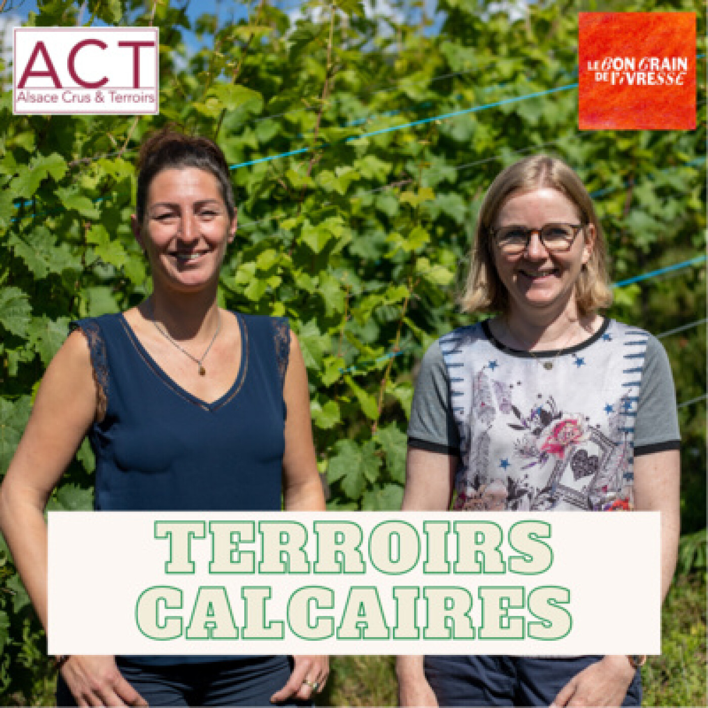 Hors-série Alsace 2/5 - Terroirs calcaires