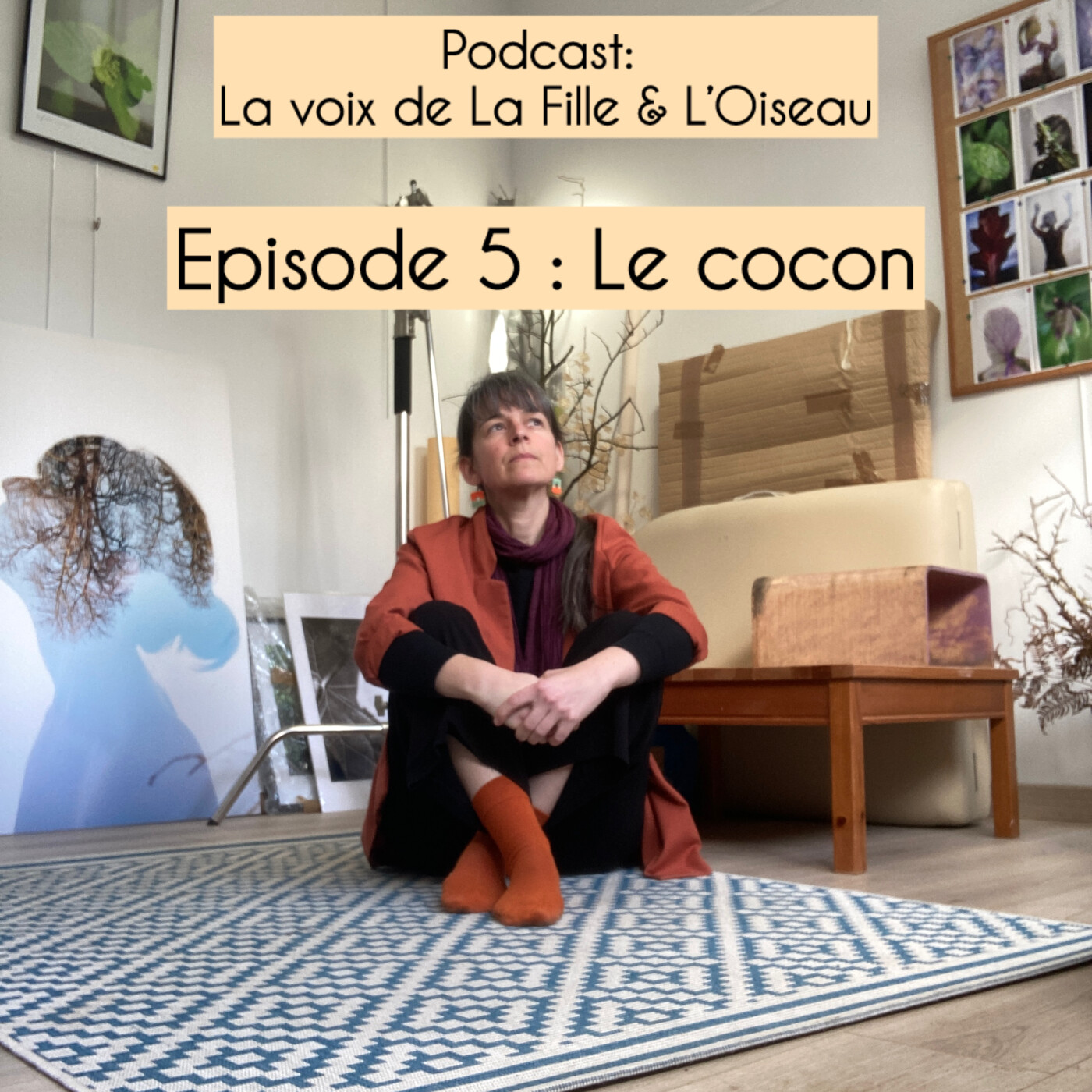 Thème 5 : Le cocon episode artwork