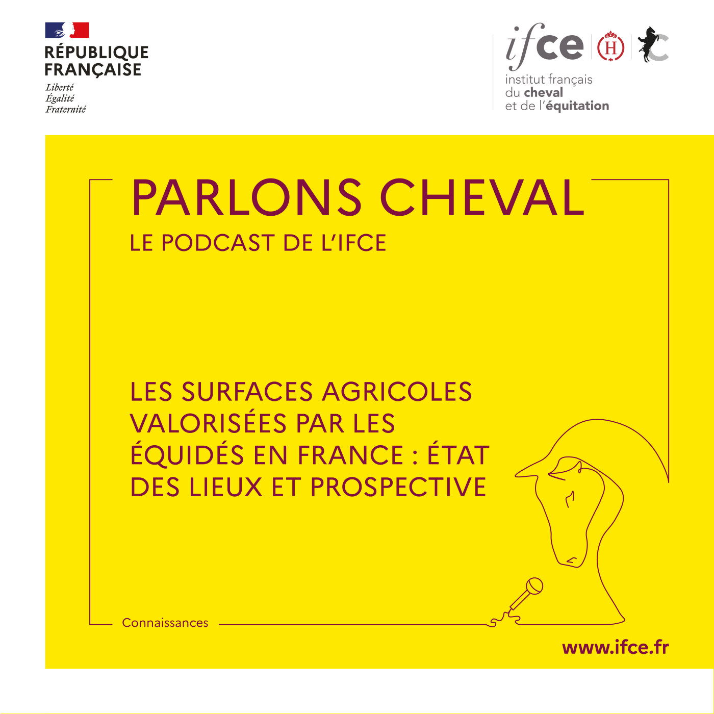 Les surfaces agricoles valorisées par les équidés en France : état des lieux et prospective - Anne-Lise Pépin