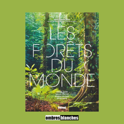 Jérôme Chave → Les forêts du monde cover