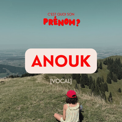 Anouk [VOCAL] cover